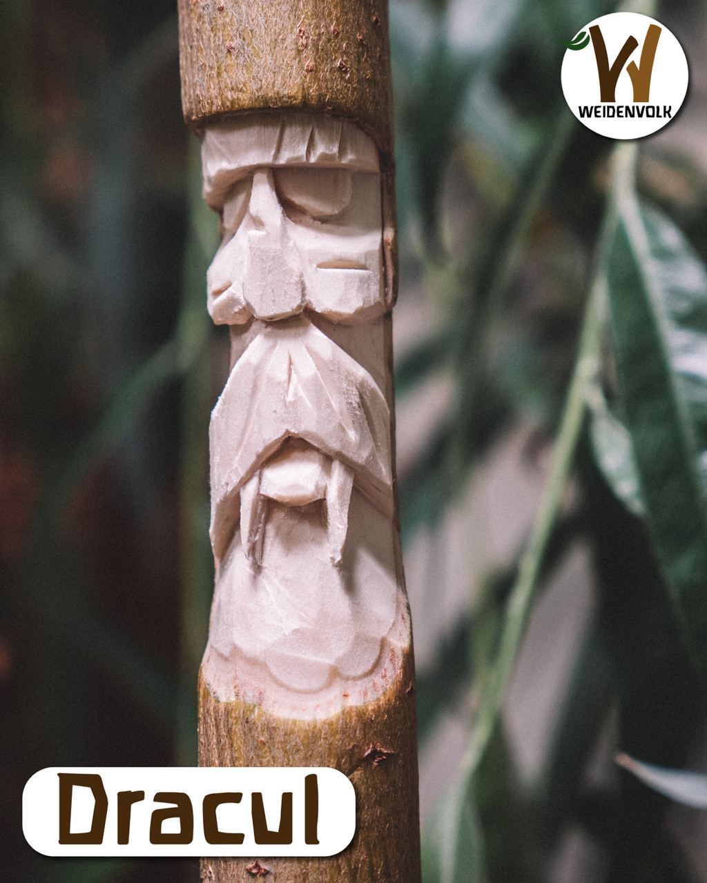 Dracul