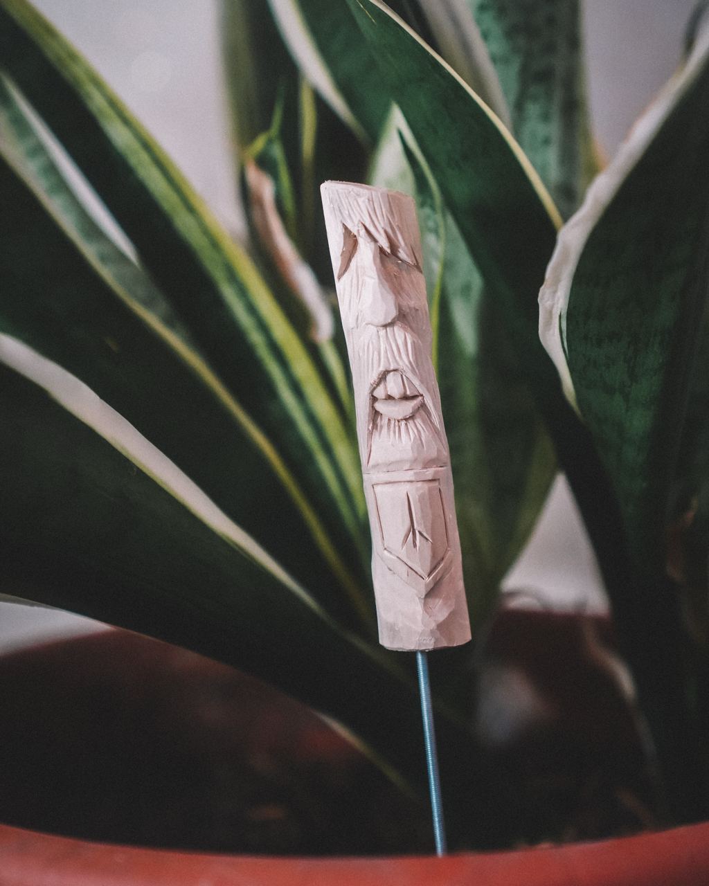 Wächter Weide Wilder Mann