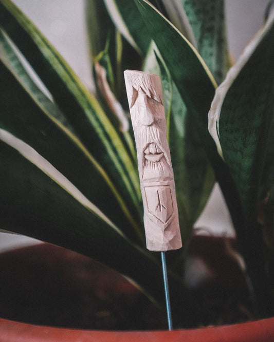 Wächter Weide Wilder Mann