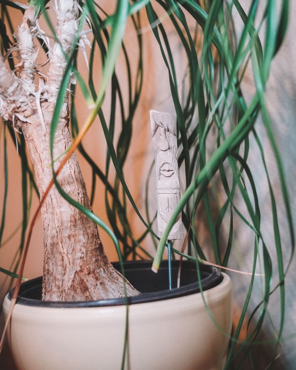 Wächter Weide Wilder Mann